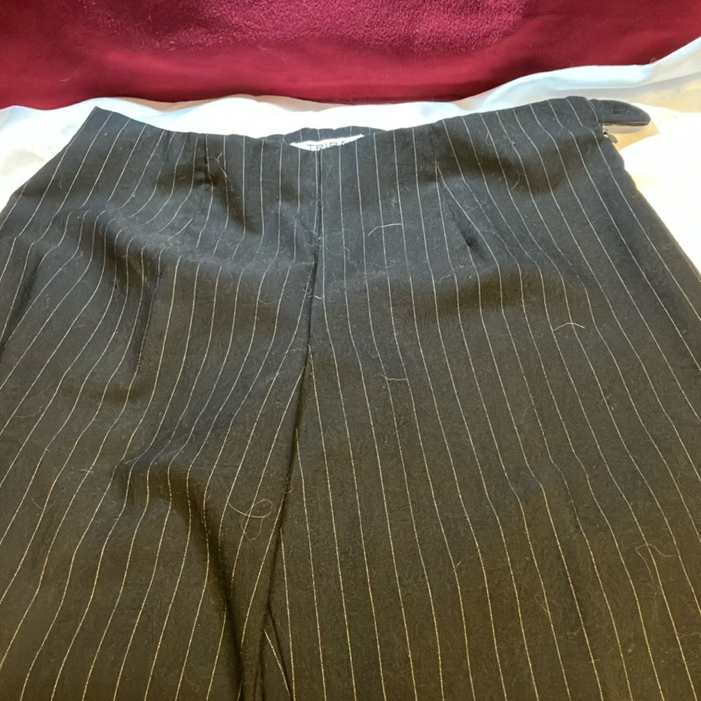 Tribal Women’s Pinstripe Pleated Dress Slacks with Side Button/Zip